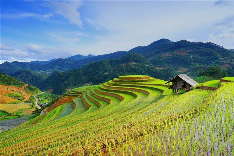 Impressionen Vietnam ©naihei/istock